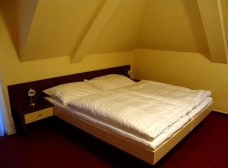 Hotel Altenberg Staré Hory Habitación foto